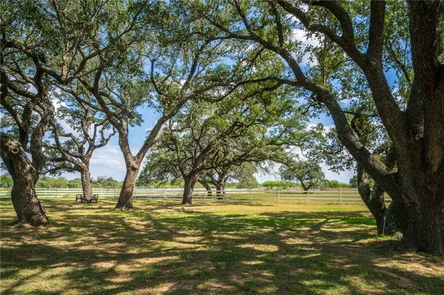a view of lawn chairs and trees