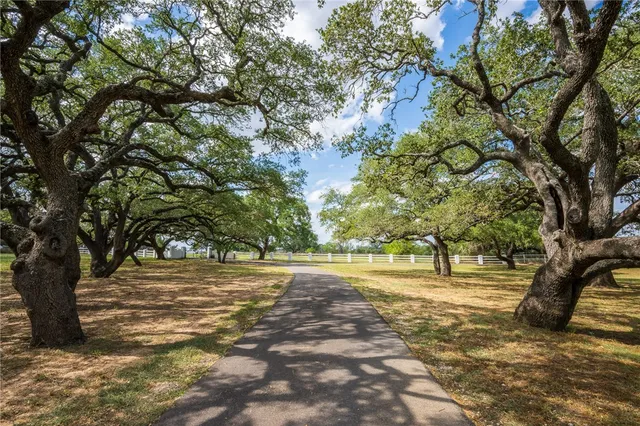 a backyard of a house with lots of green garden
