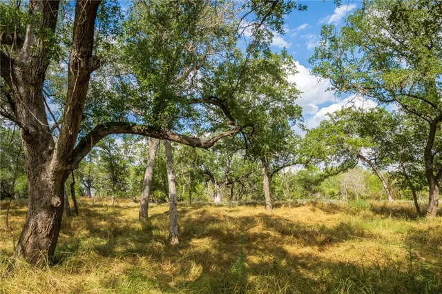 an aerial view of residential building and lake