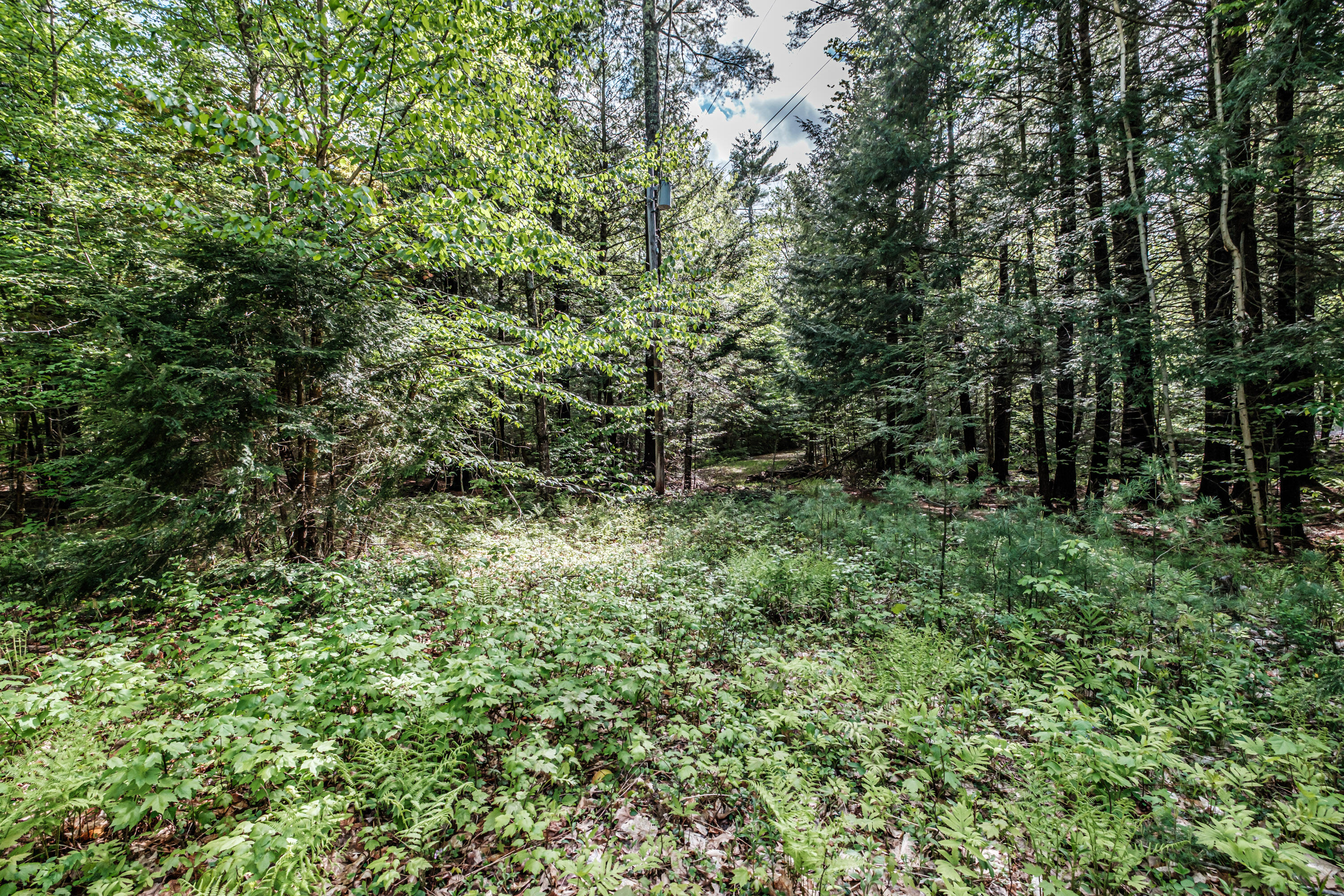 62 North Road Bridgton, ME 04009 - Photo 53 of 57 20260525gp-62052
