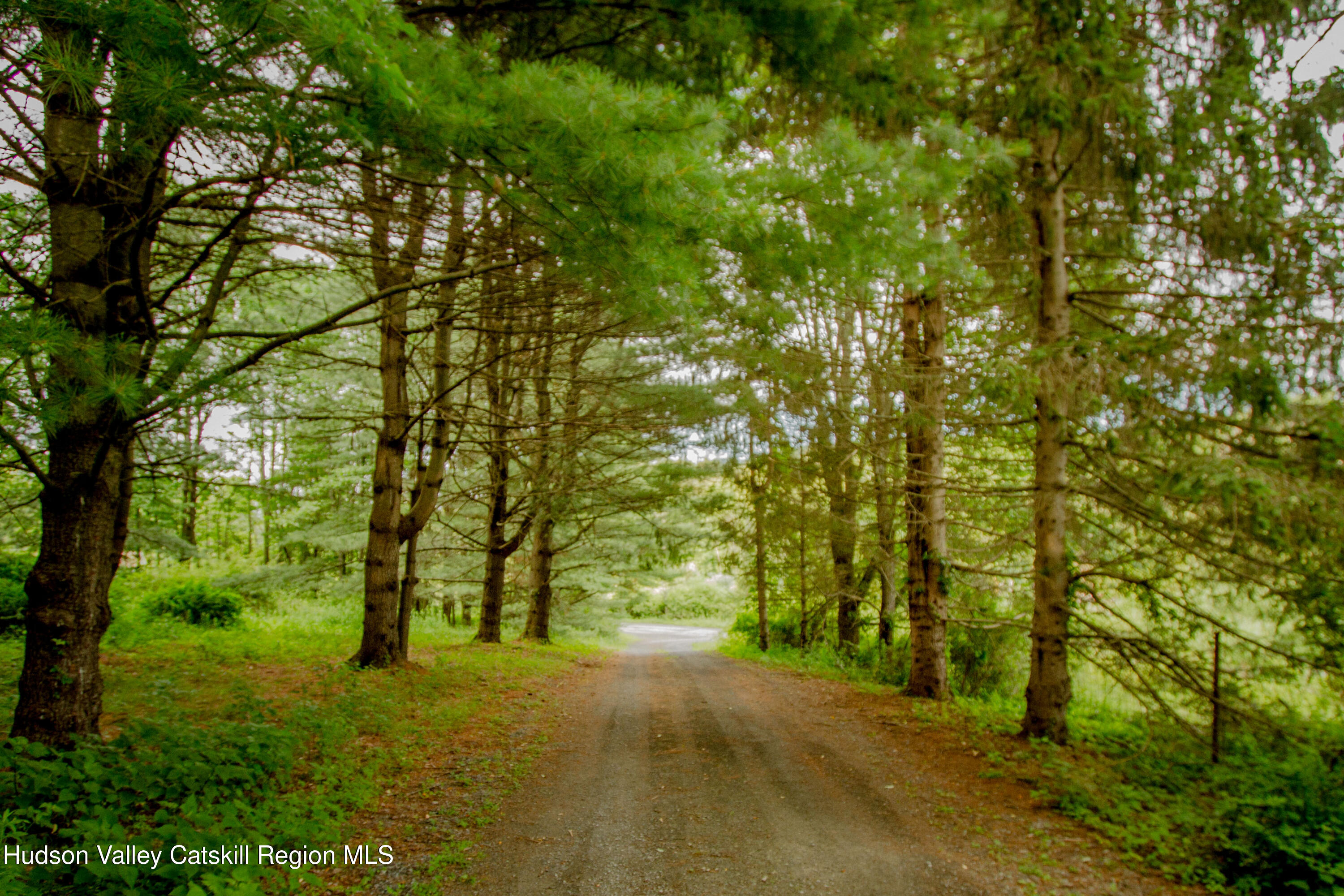 11 Shultis Farm Road Woodstock, NY 12409 - Photo 23 of 23 a view of field with trees