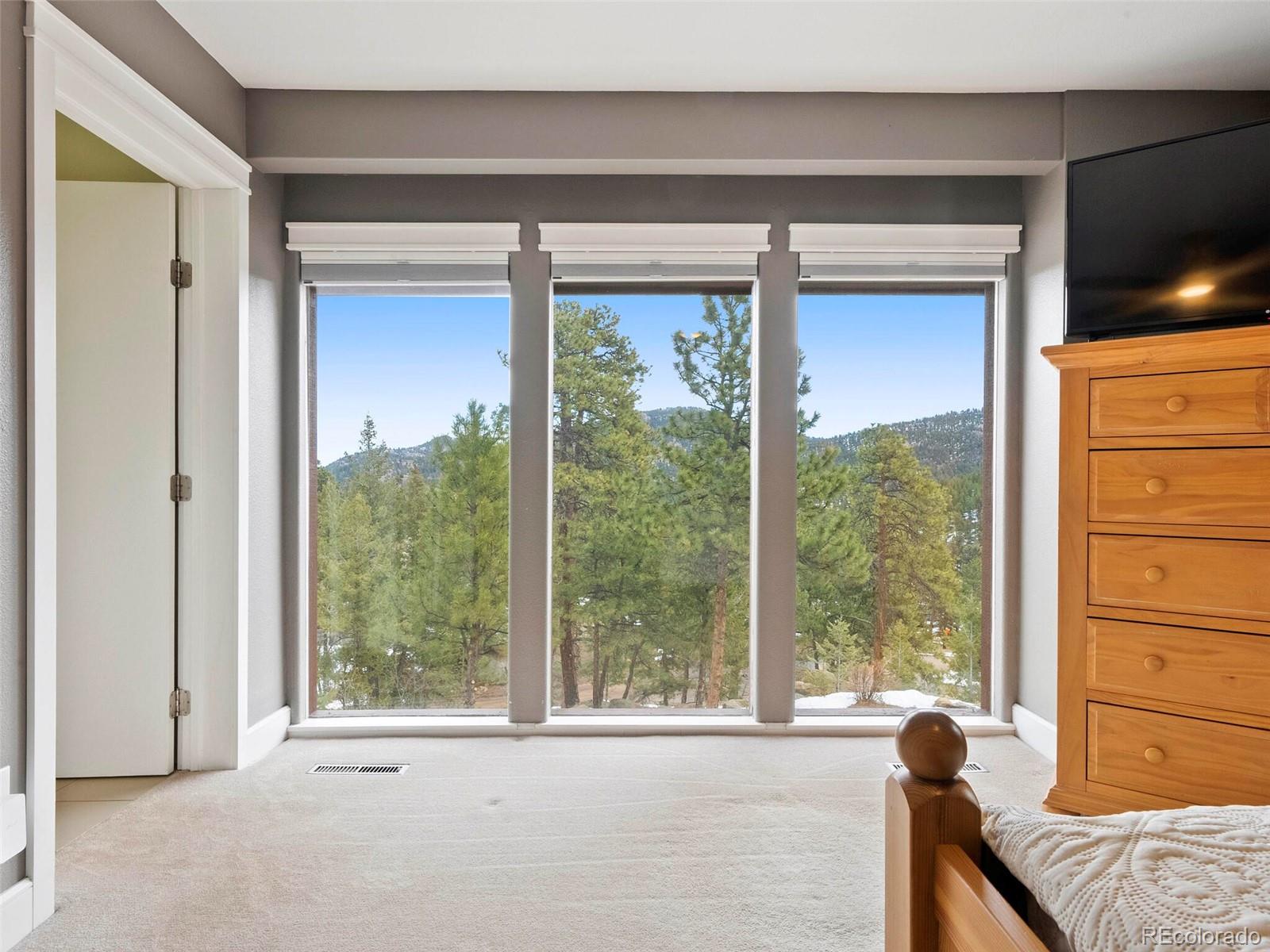 6056 Oberstrasse Road Evergreen, CO 80439 - Photo 25 of 40 Gallery Image 25