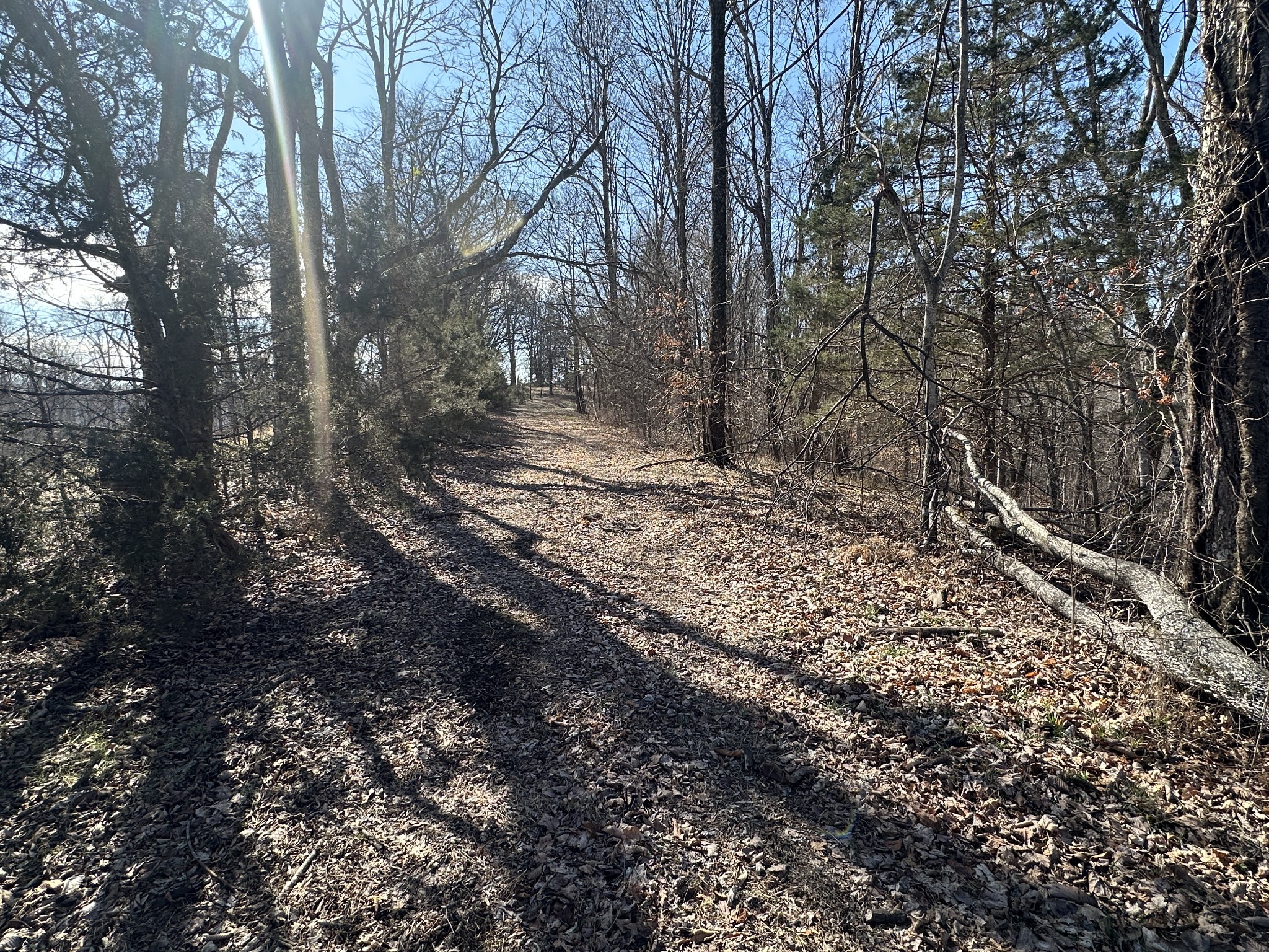 0 Hurricane Ridge Road Smithville, TN 37166 - Photo 16 of 16 Gallery Image 16