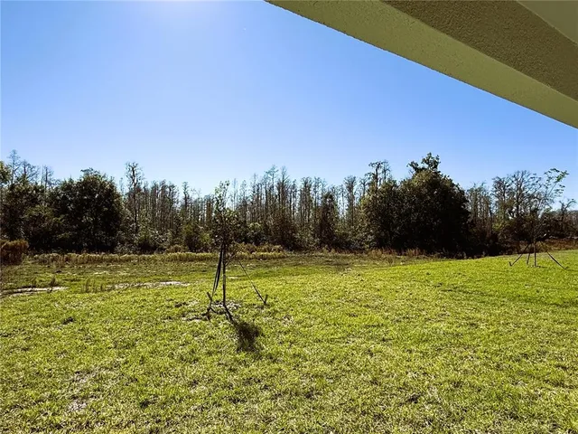 $2,690 | 17614 Pleasantview Boulevard, Land O Lakes, FL 34638
