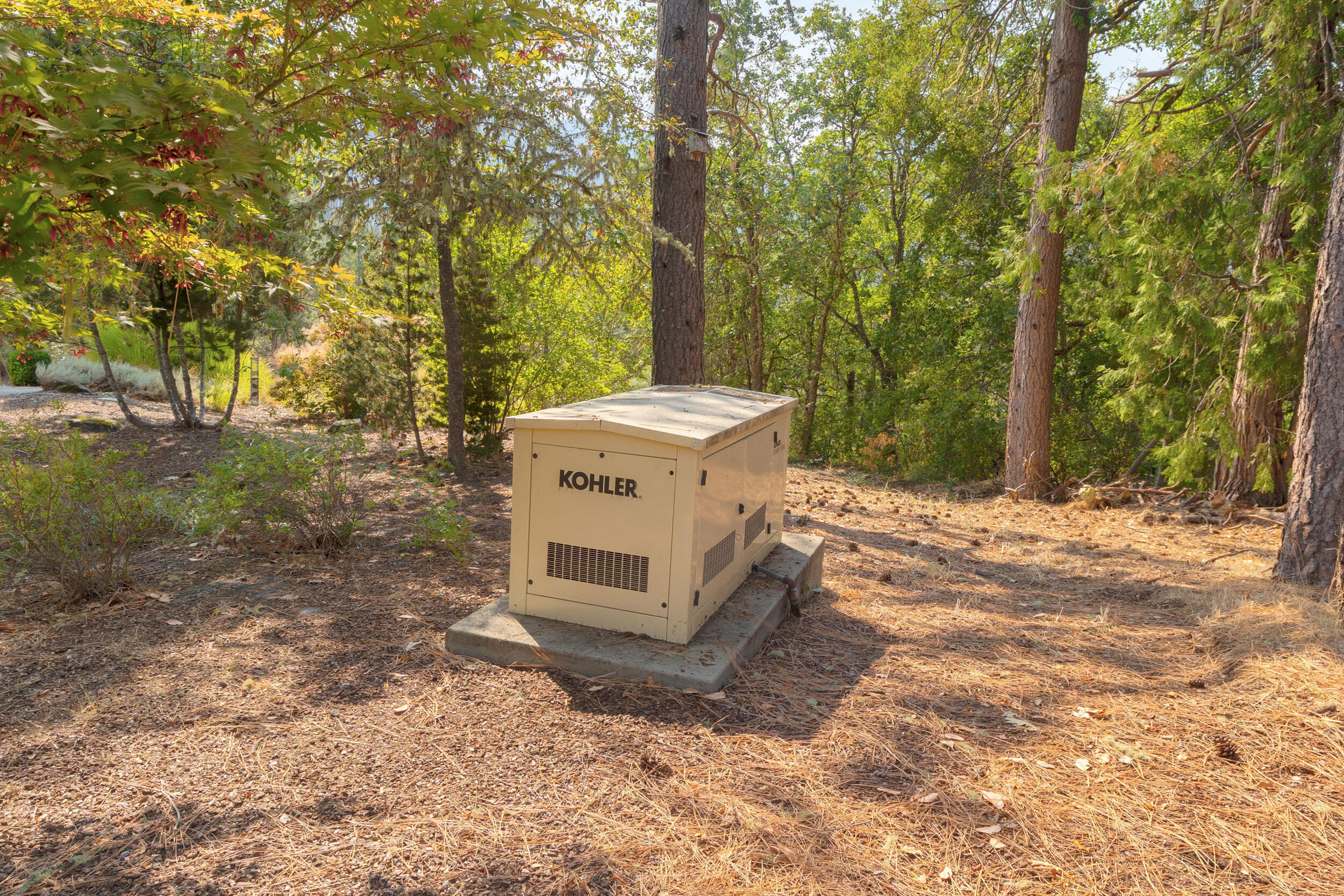 280 Naturescape Road Grants Pass, OR 97527 - Photo 44 of 60 Whole House Generator