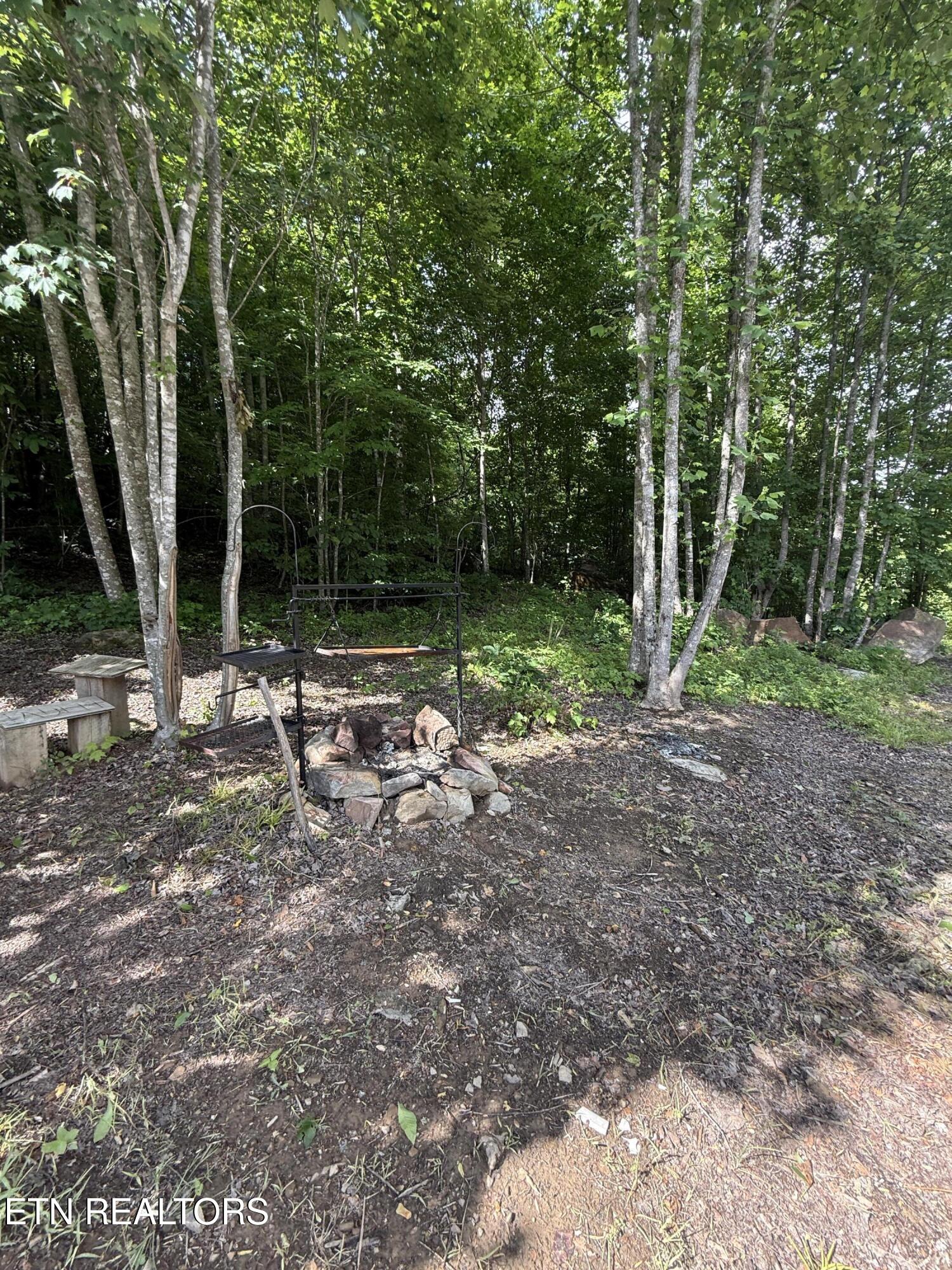 549 Defender Road La Follette, TN 37766 - Photo 33 of 42 Fire Pit