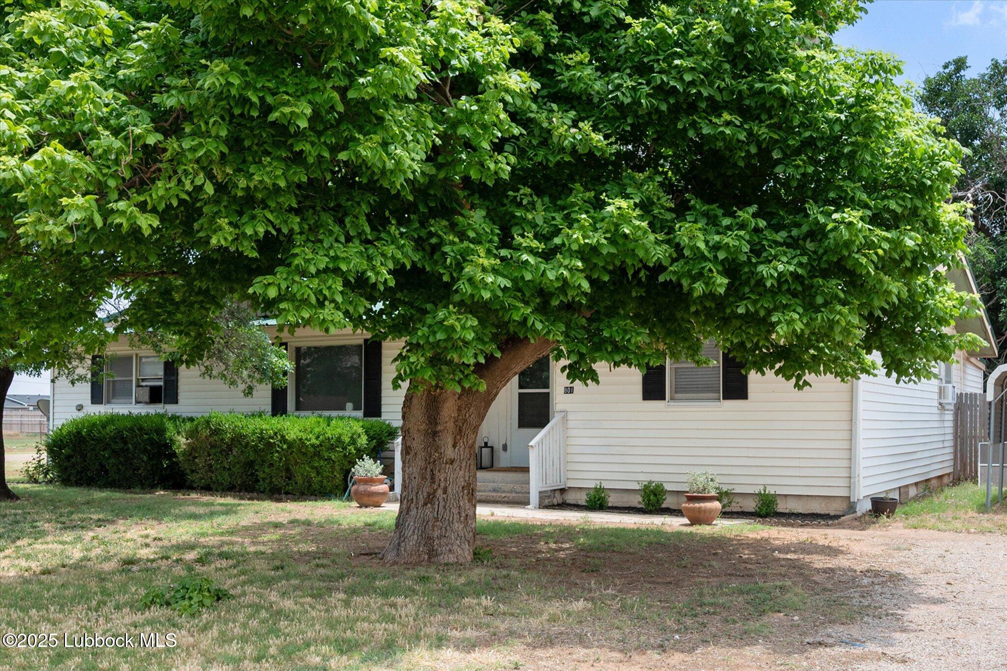 801 4th Street Smyer, TX 79367 - Photo 4 of 26 04-801 4th_8970_crop