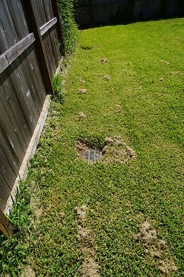 2503 Shady Bayou Lane Spring, TX 77373 - Photo 20 of 21 Drains along fence line 4 total
