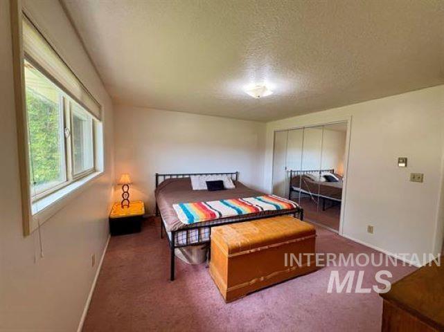 3197 Neeley Road American Falls, ID 83211 - Photo 23 of 45 Carpeted room with a multi-pane window and a flush-mount ceiling light fixture