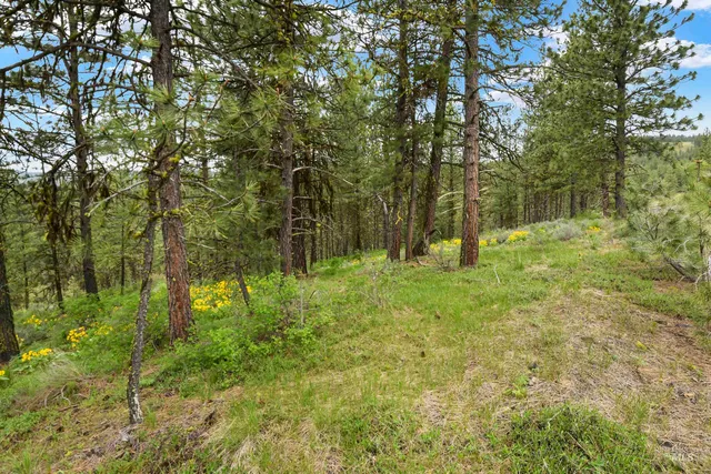 $199,900 | Lot 6-block Van Dorn Estates, New Meadows, ID 83654