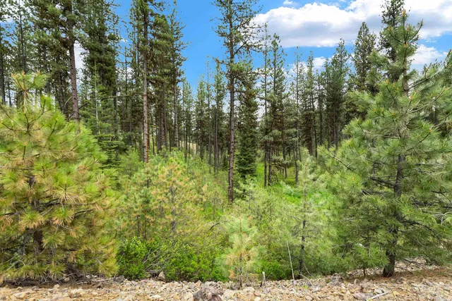 $199,900 | Lot 6-block Van Dorn Estates, New Meadows, ID 83654