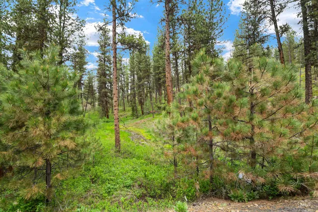 $199,900 | Lot 6-block Van Dorn Estates, New Meadows, ID 83654