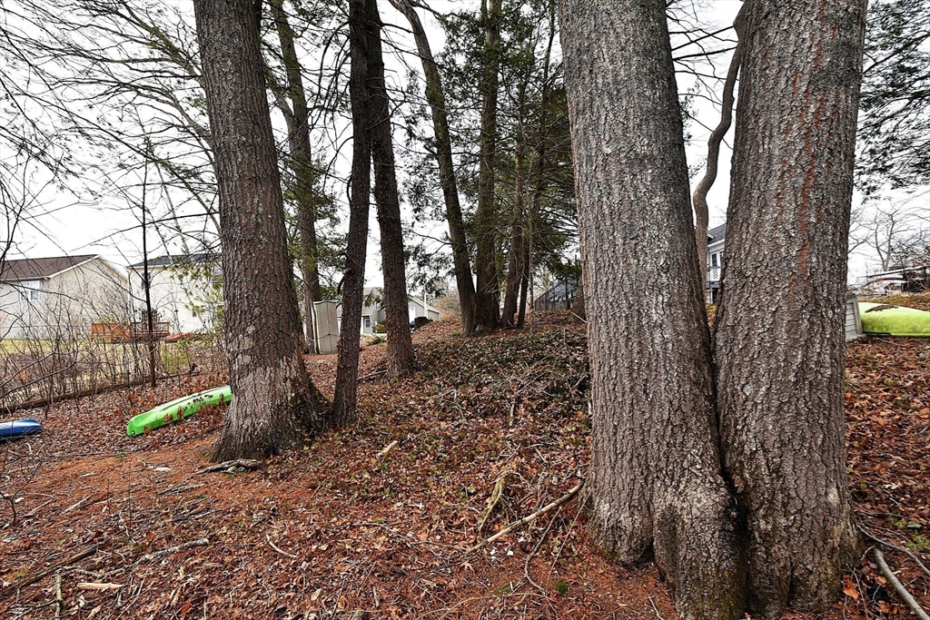 16 Black Point Road Webster, MA 01570 - Photo 10 of 14 a backyard of a house with lots of green space