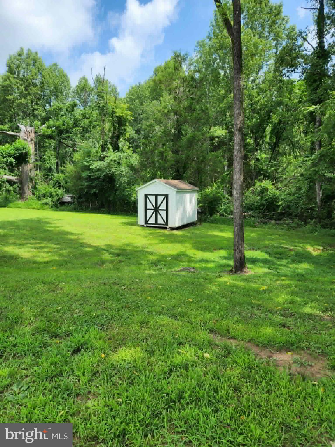 11501 Homeland Road Rixeyville, VA 22737 - Photo 47 of 53 Shed