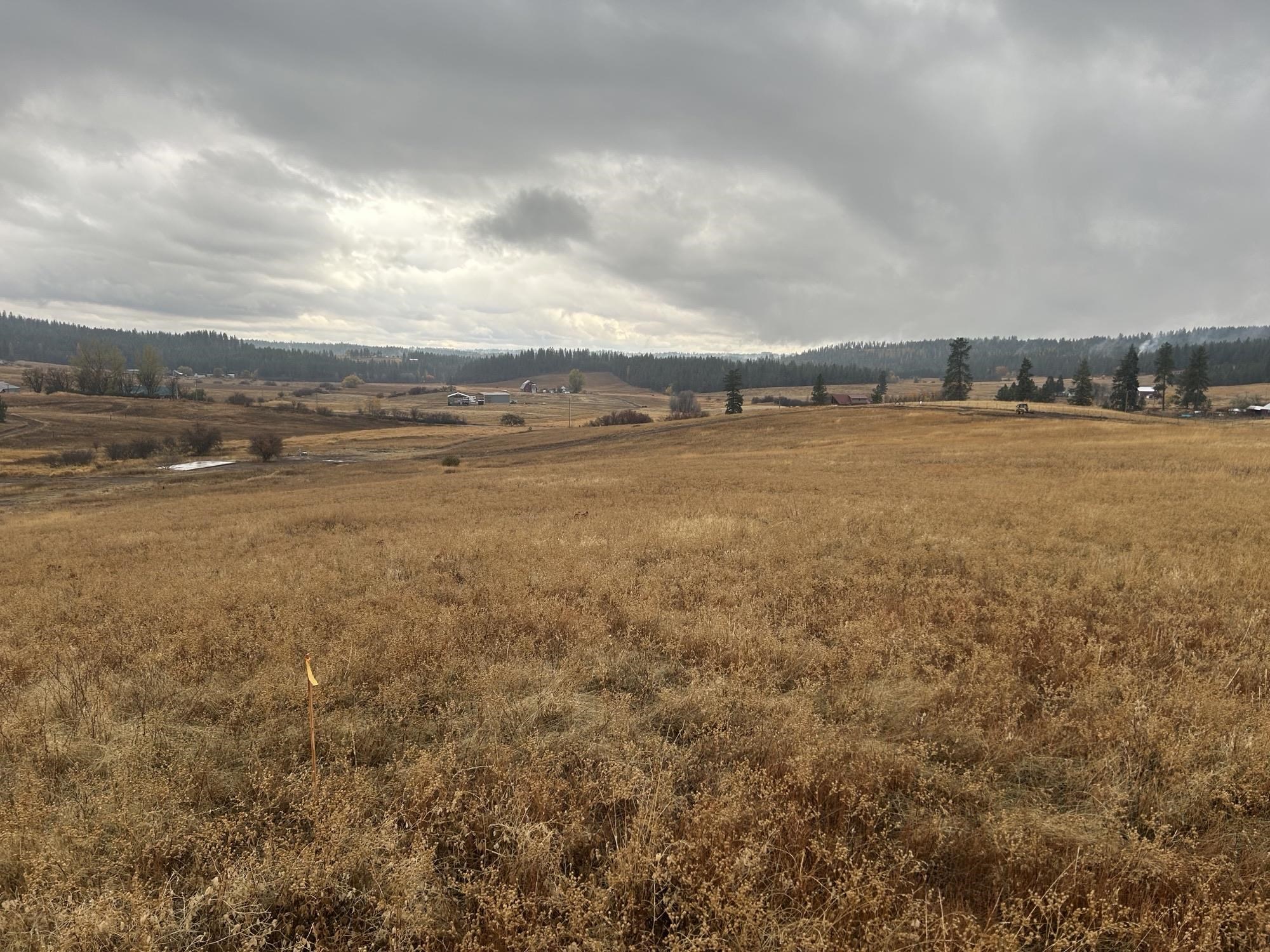 11707 East Tallman Road Chattaroy, WA 99003 - Photo 4 of 17