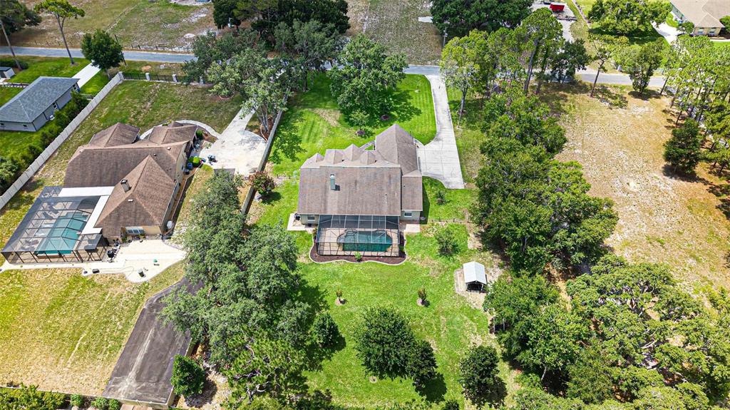 6913 Colley Road Odessa, FL 33556 - Photo 45 of 46