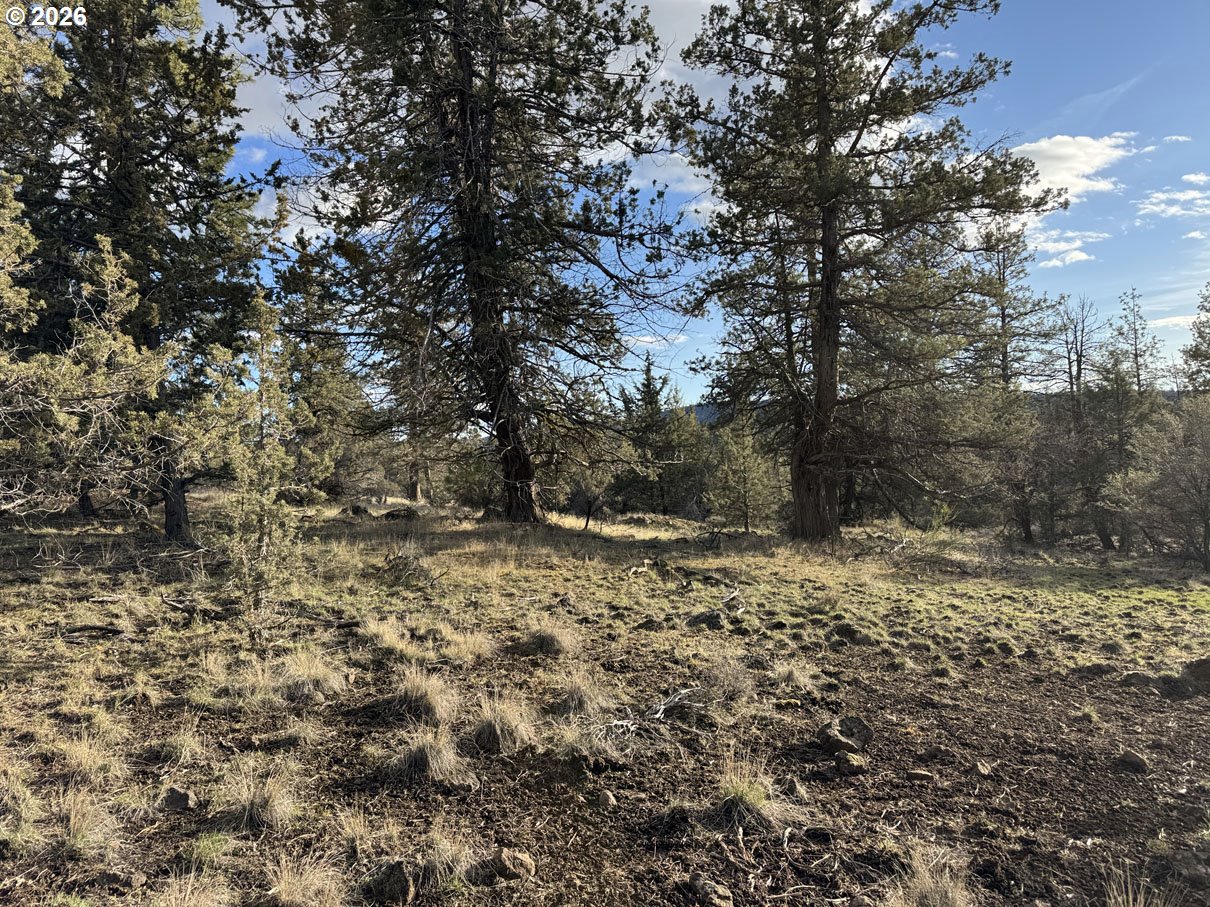 Canvasback Drive, Unit 35 Bonanza, OR 97623 - Photo 11 of 48