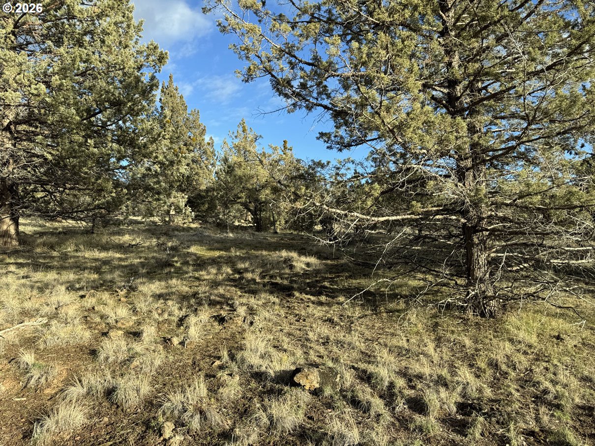 Canvasback Drive, Unit 35 Bonanza, OR 97623 - Photo 12 of 48