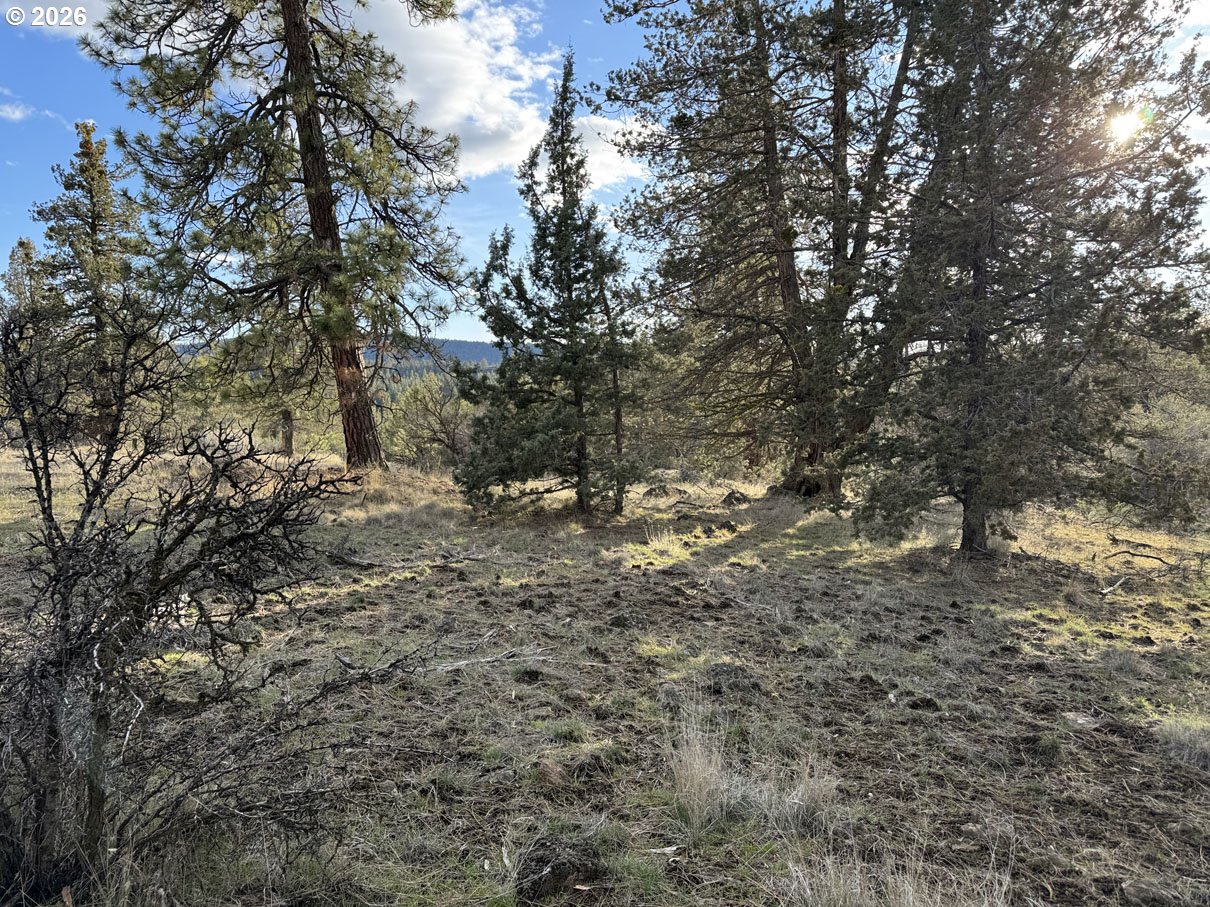 Canvasback Drive, Unit 35 Bonanza, OR 97623 - Photo 13 of 48