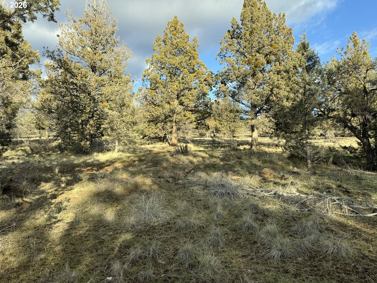 Canvasback Drive, Unit 35 Bonanza, OR 97623 - Photo 15 of 48