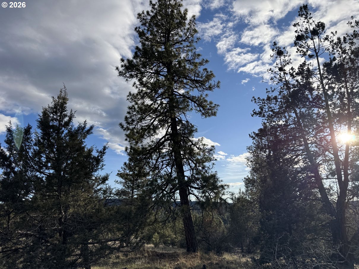 Canvasback Drive, Unit 35 Bonanza, OR 97623 - Photo 17 of 48