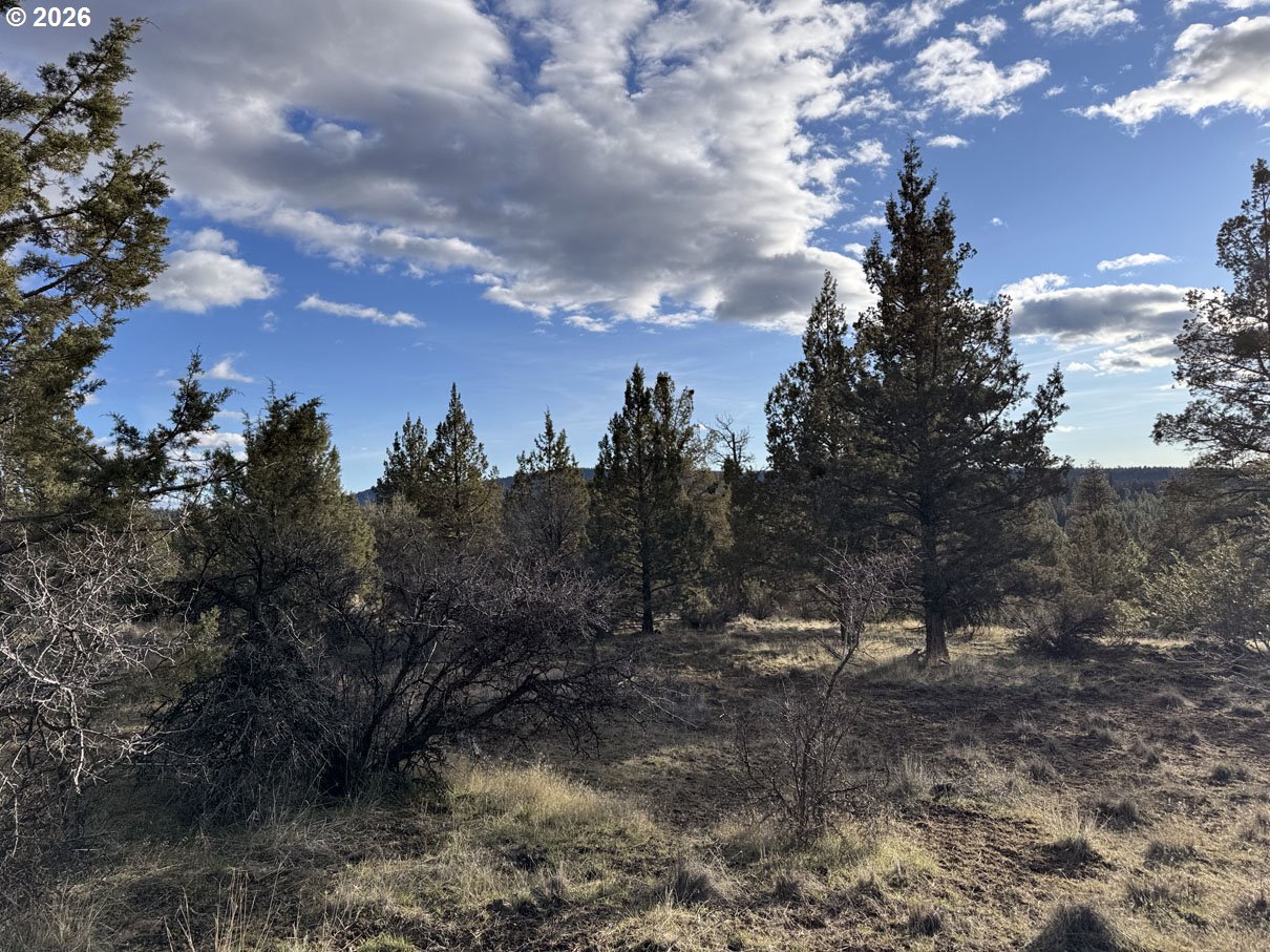 Canvasback Drive, Unit 35 Bonanza, OR 97623 - Photo 25 of 48
