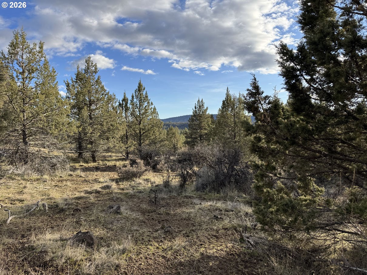 Canvasback Drive, Unit 35 Bonanza, OR 97623 - Photo 26 of 48