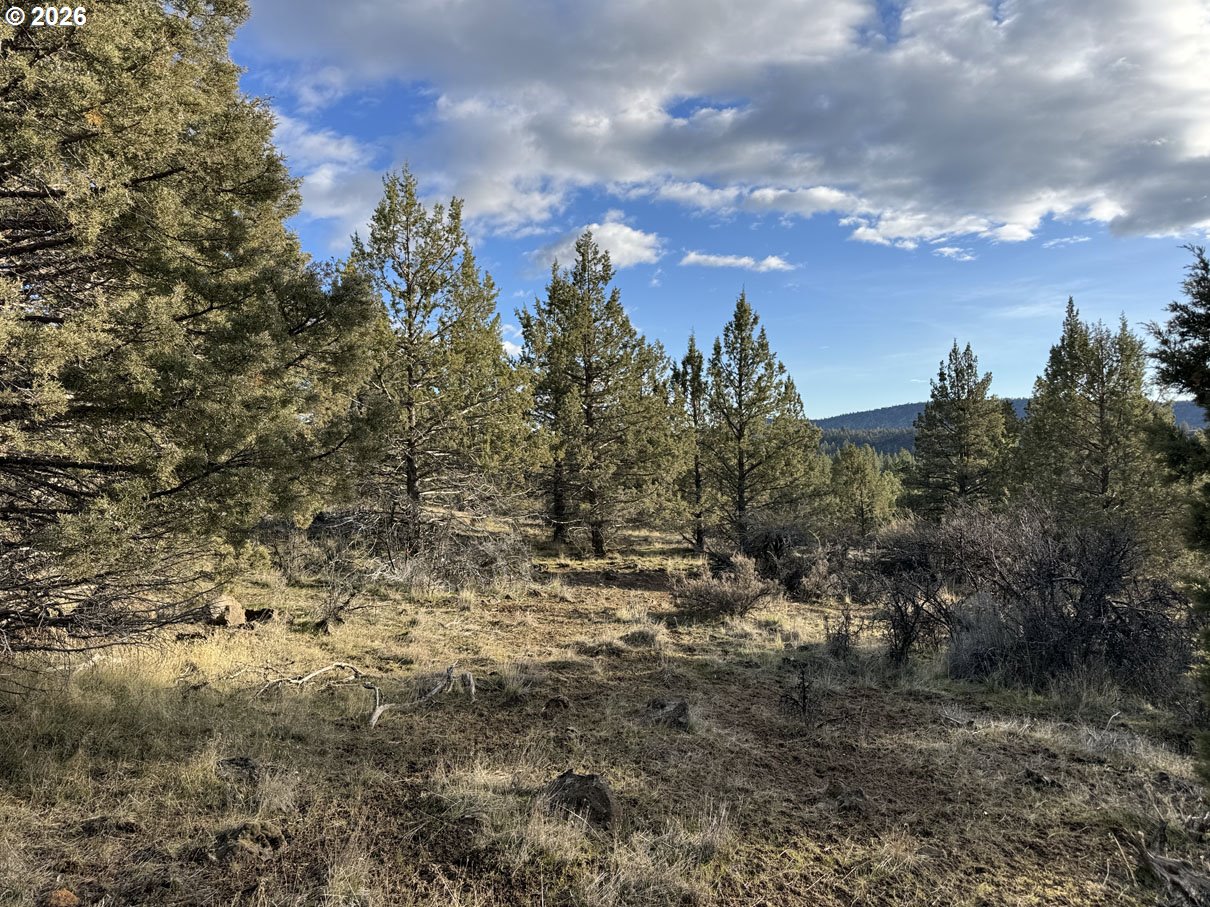 Canvasback Drive, Unit 35 Bonanza, OR 97623 - Photo 27 of 48