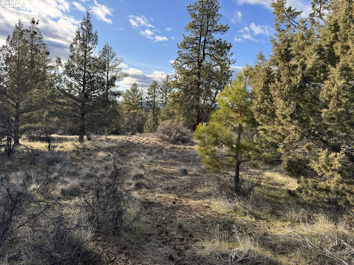 Canvasback Drive, Unit 35 Bonanza, OR 97623 - Photo 28 of 48