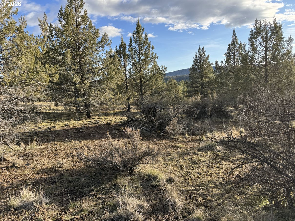 Canvasback Drive, Unit 35 Bonanza, OR 97623 - Photo 29 of 48