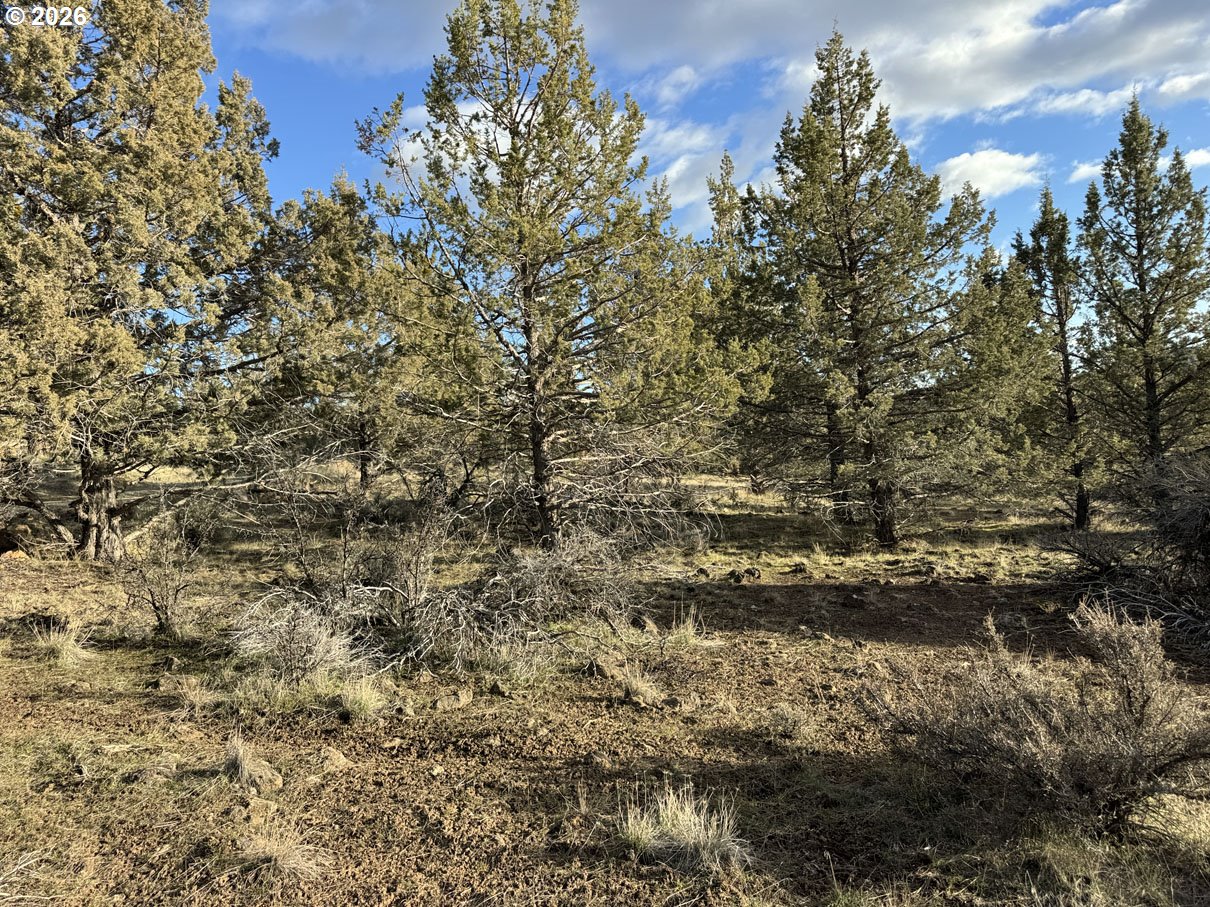 Canvasback Drive, Unit 35 Bonanza, OR 97623 - Photo 30 of 48