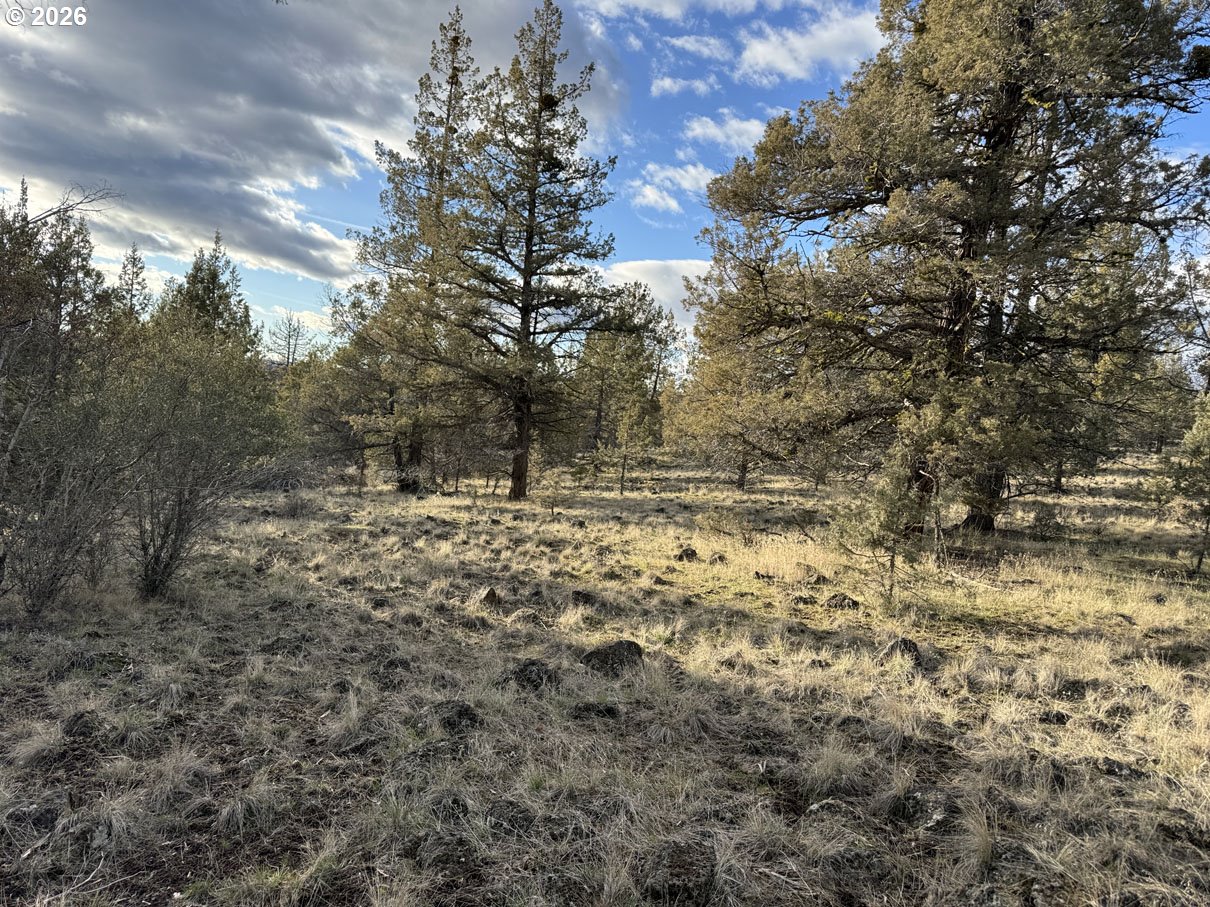 Canvasback Drive, Unit 35 Bonanza, OR 97623 - Photo 3 of 48