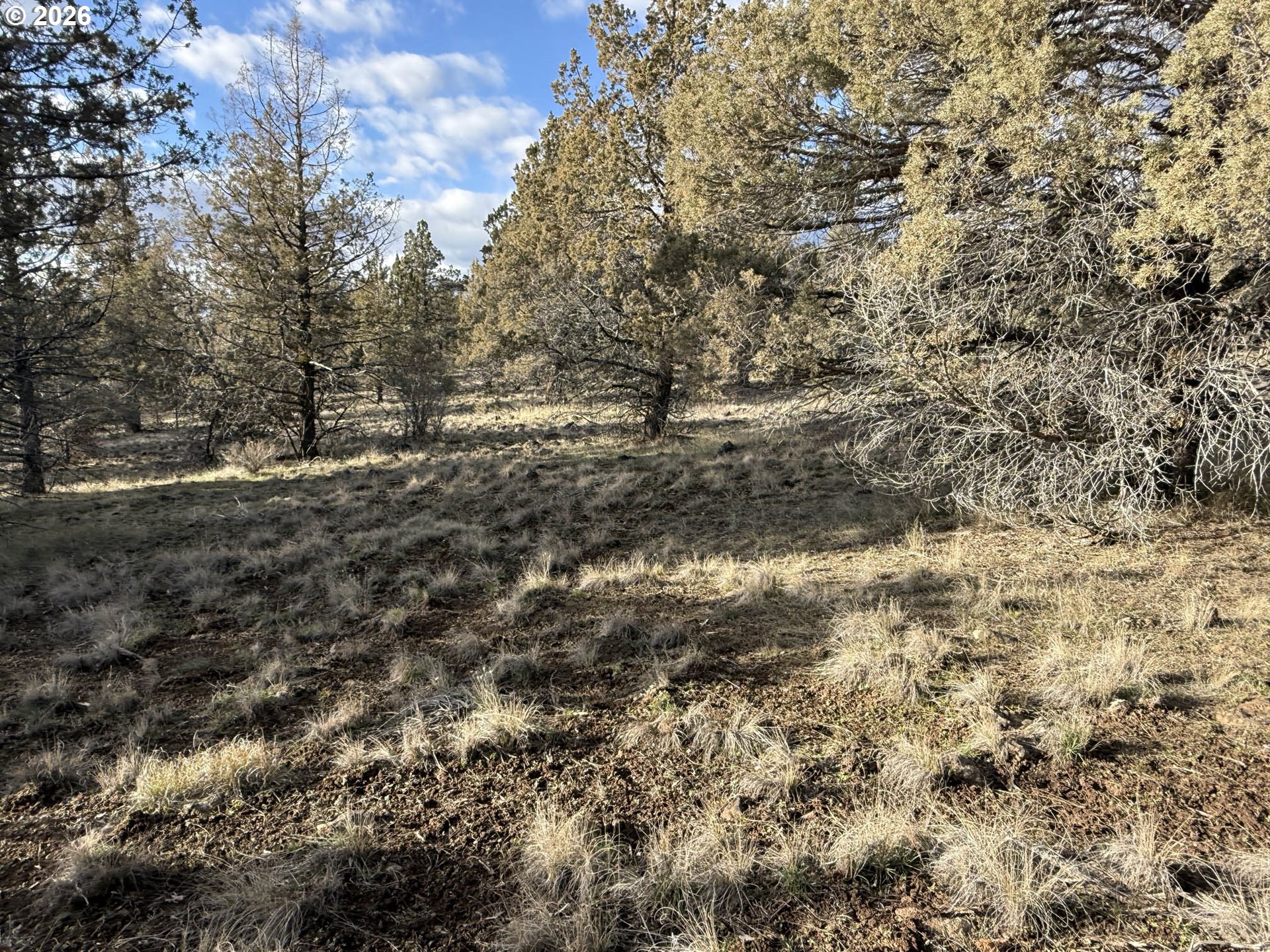 Canvasback Drive, Unit 35 Bonanza, OR 97623 - Photo 31 of 48