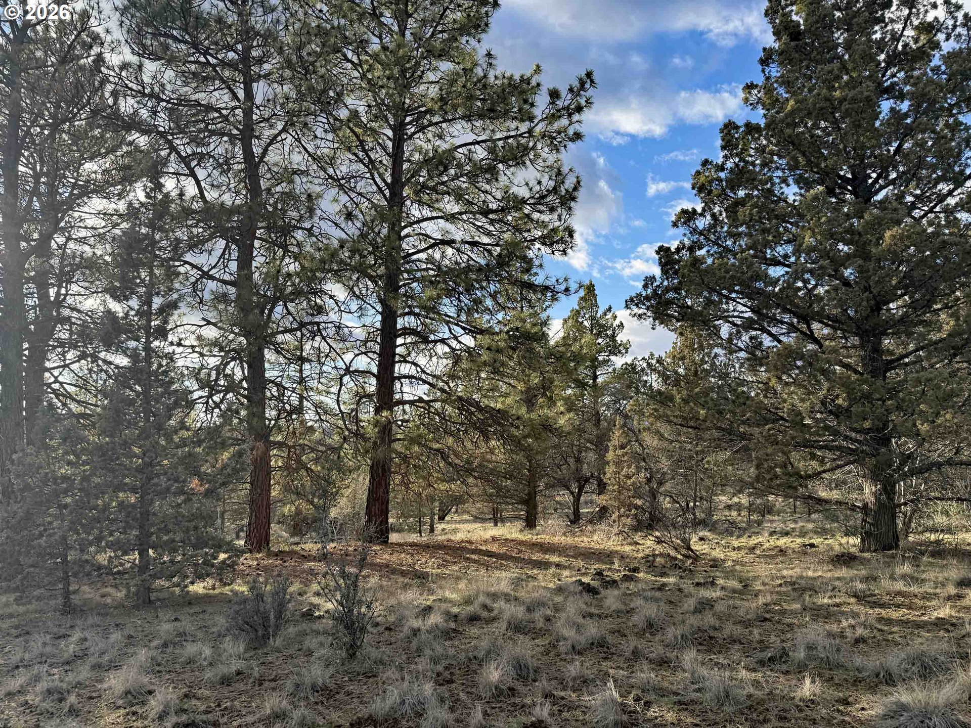 Canvasback Drive, Unit 35 Bonanza, OR 97623 - Photo 32 of 48