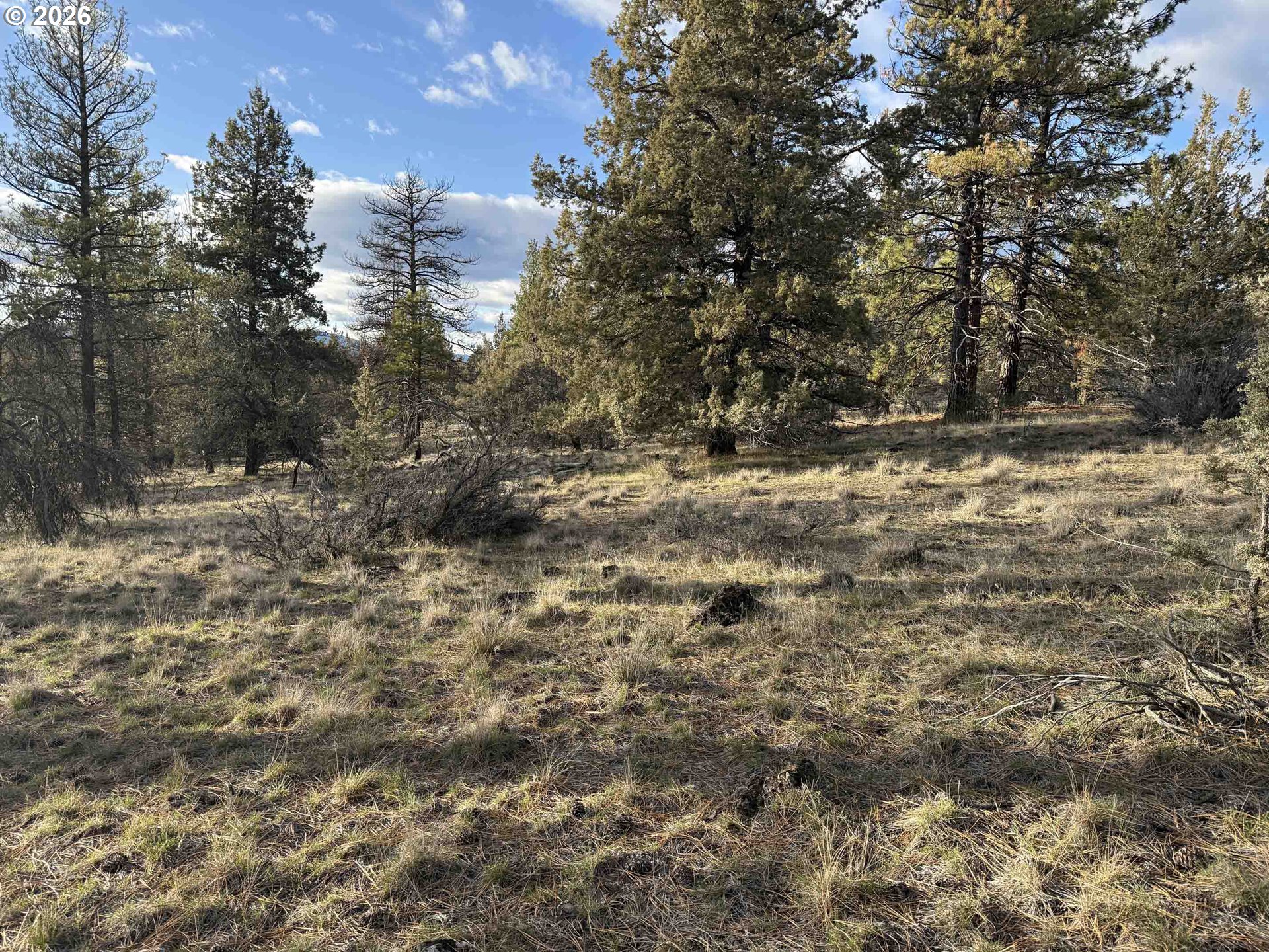 Canvasback Drive, Unit 35 Bonanza, OR 97623 - Photo 33 of 48