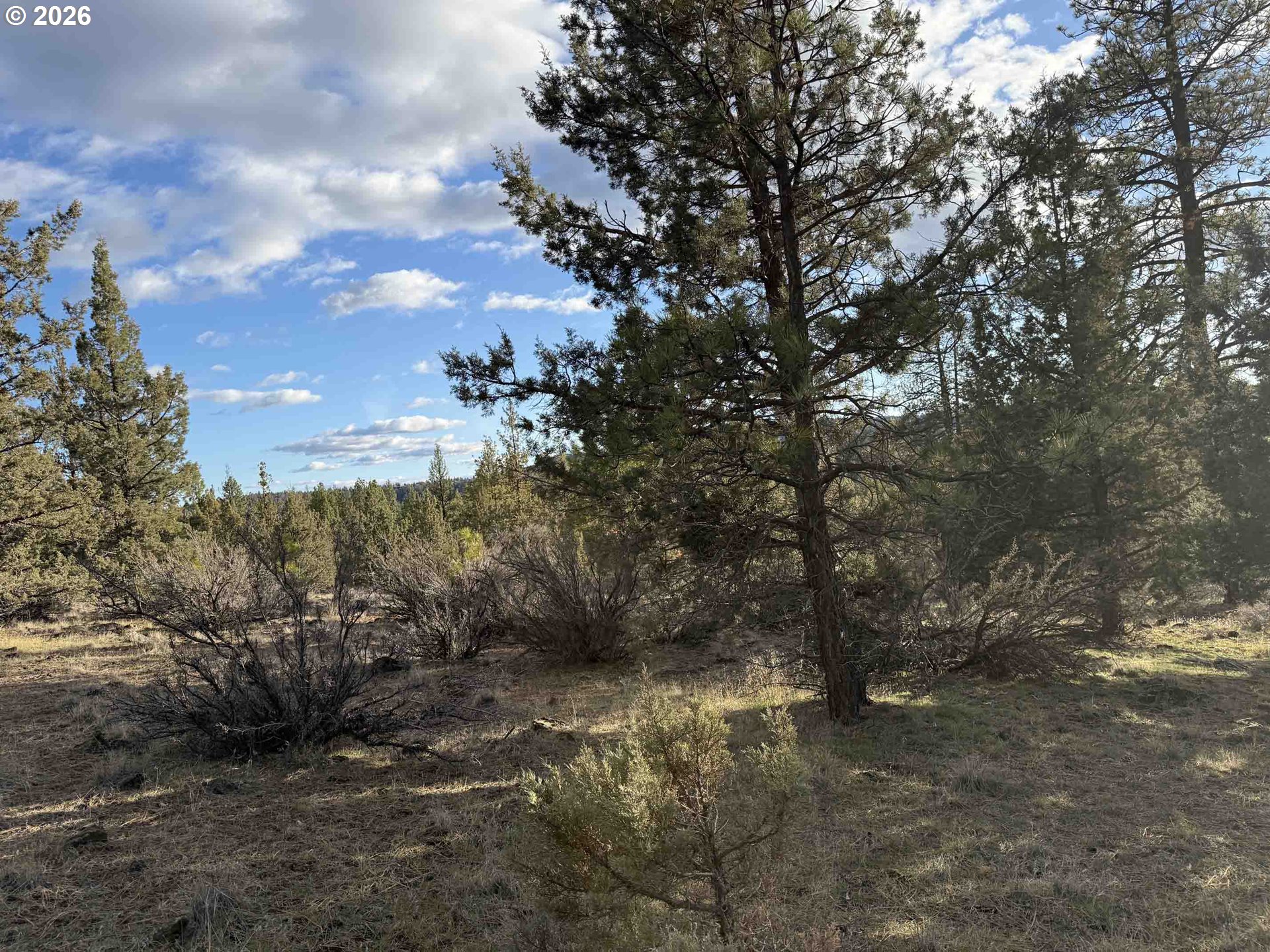 Canvasback Drive, Unit 35 Bonanza, OR 97623 - Photo 34 of 48