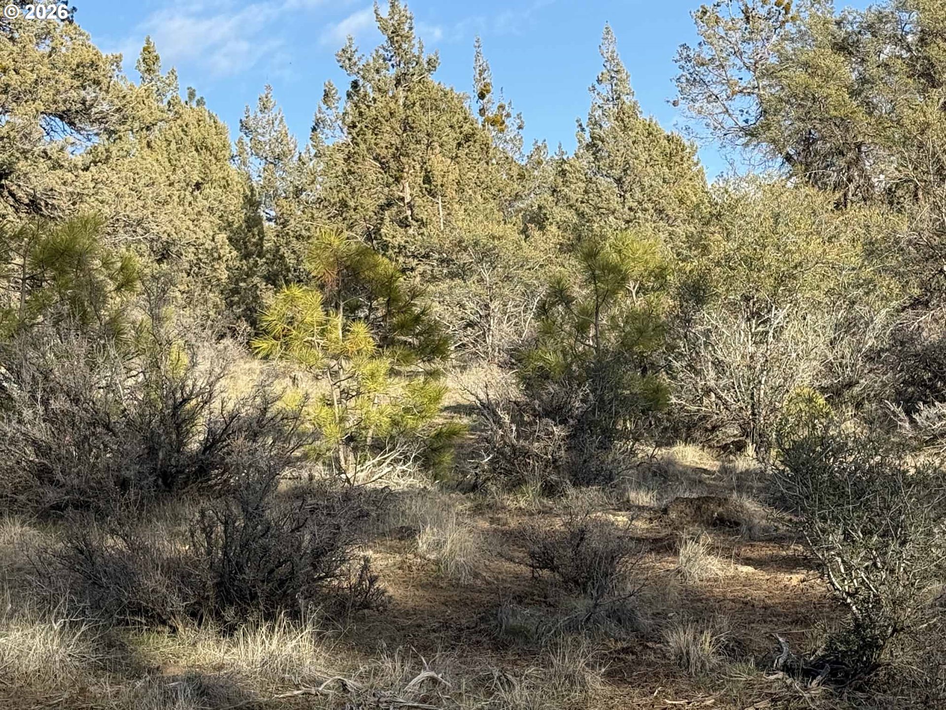Canvasback Drive, Unit 35 Bonanza, OR 97623 - Photo 35 of 48