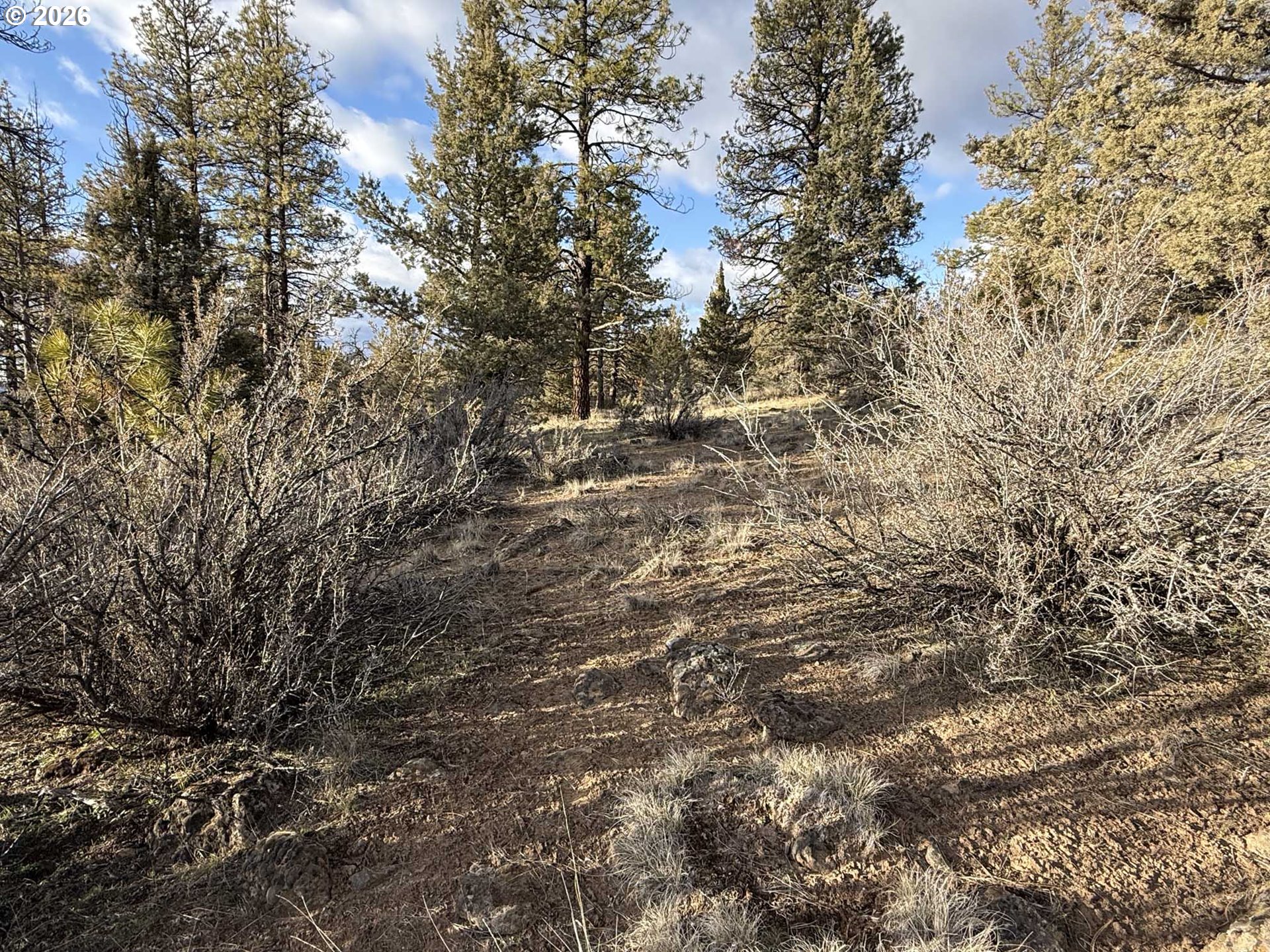 Canvasback Drive, Unit 35 Bonanza, OR 97623 - Photo 36 of 48