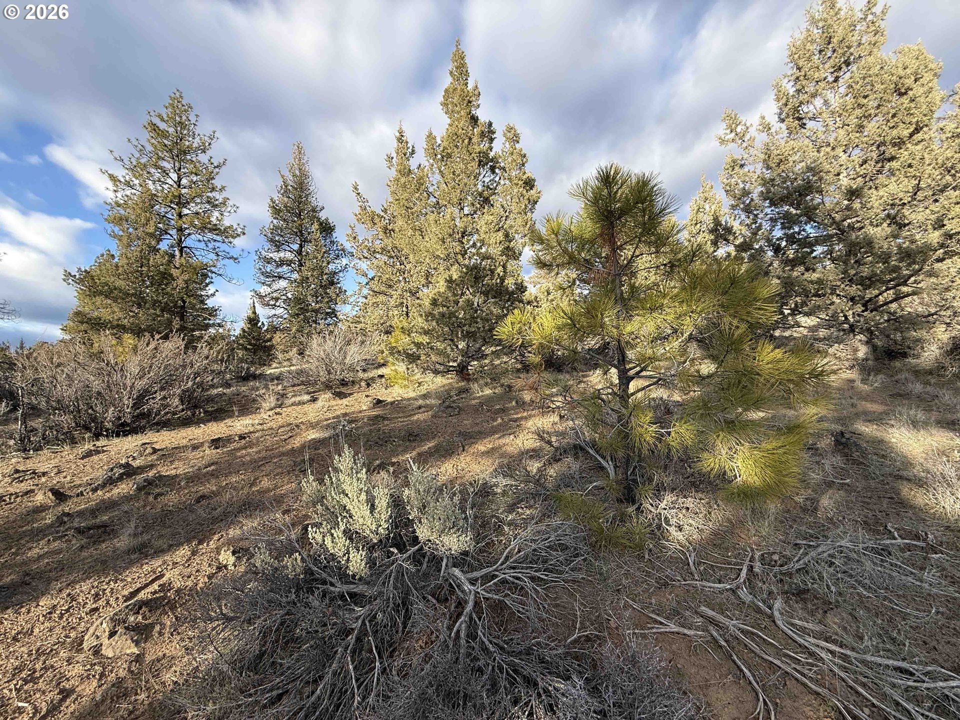 Canvasback Drive, Unit 35 Bonanza, OR 97623 - Photo 37 of 48