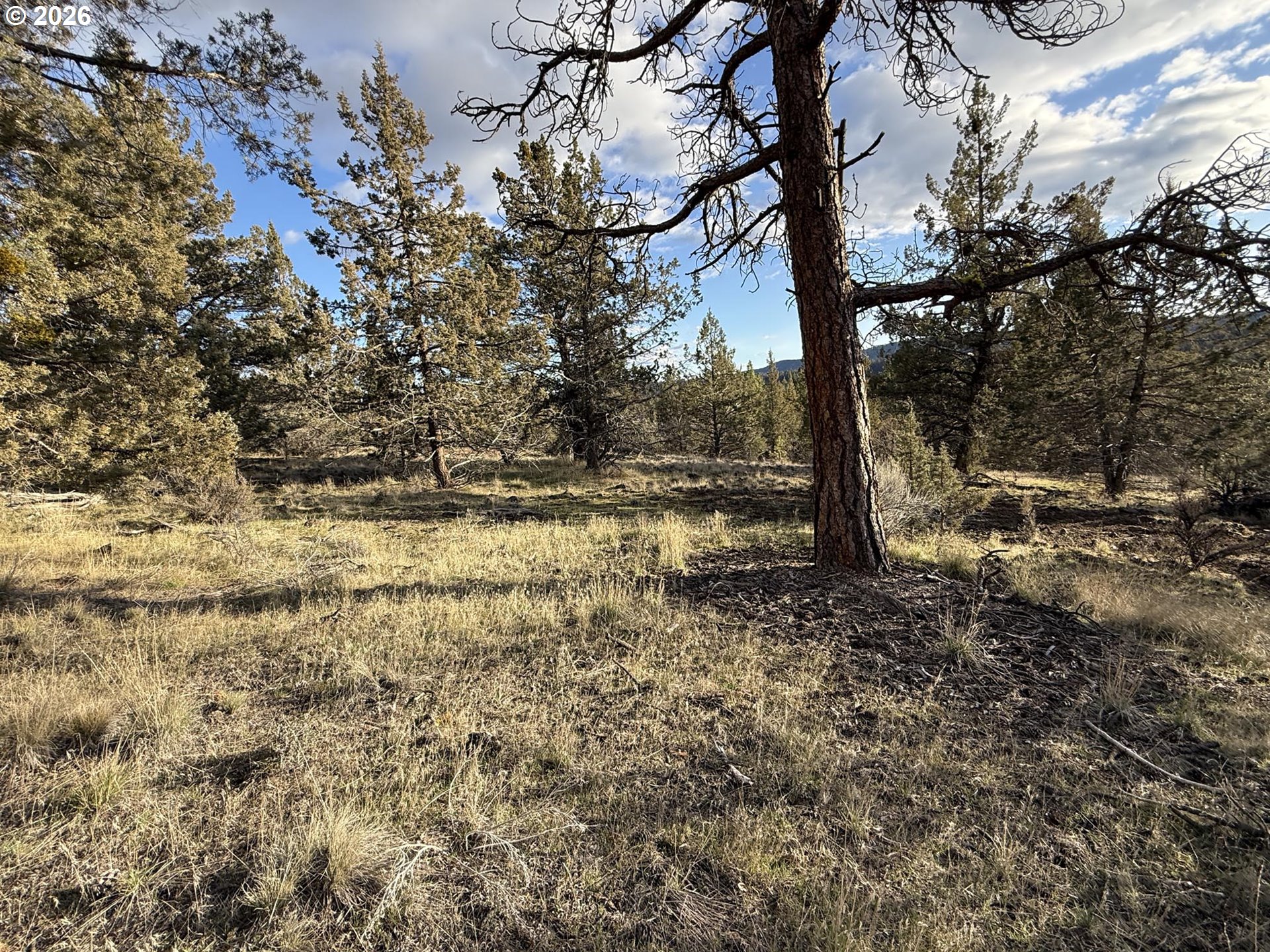 Canvasback Drive, Unit 35 Bonanza, OR 97623 - Photo 38 of 48