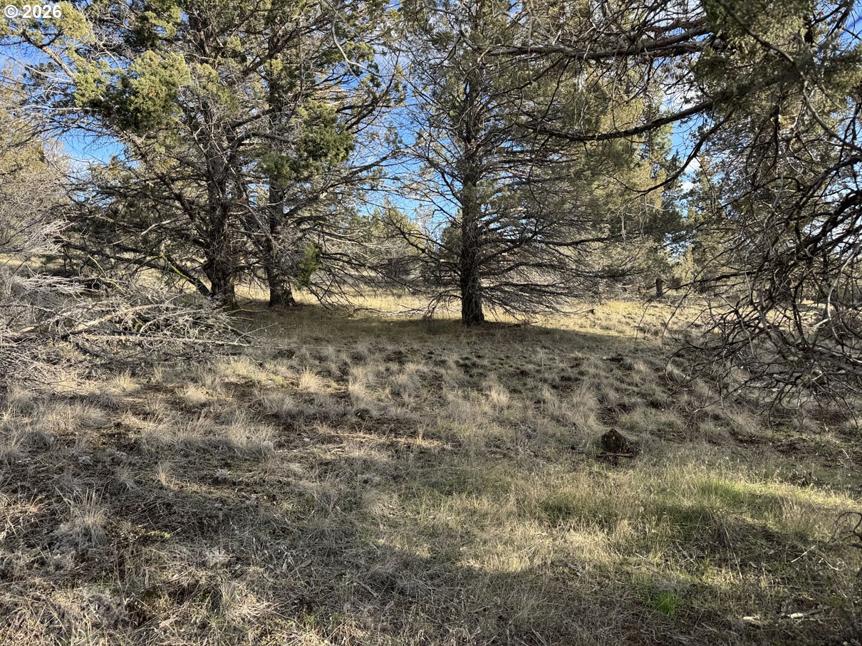 Canvasback Drive, Unit 35 Bonanza, OR 97623 - Photo 5 of 48