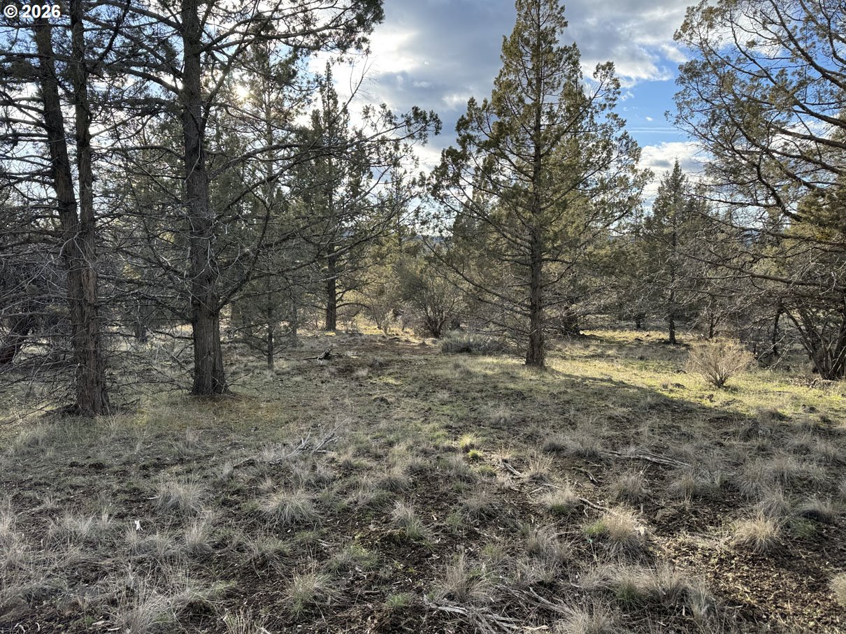 Canvasback Drive, Unit 35 Bonanza, OR 97623 - Photo 7 of 48