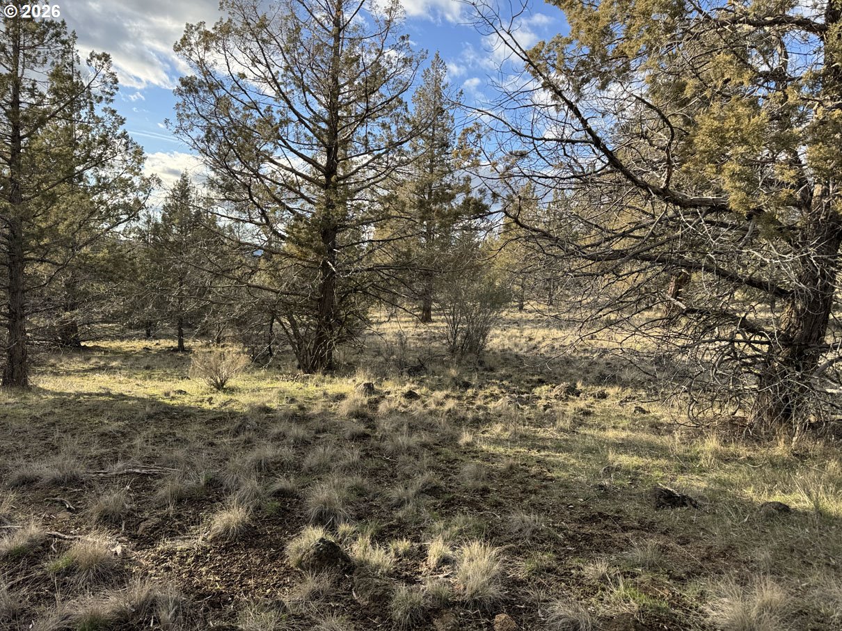 Canvasback Drive, Unit 35 Bonanza, OR 97623 - Photo 8 of 48