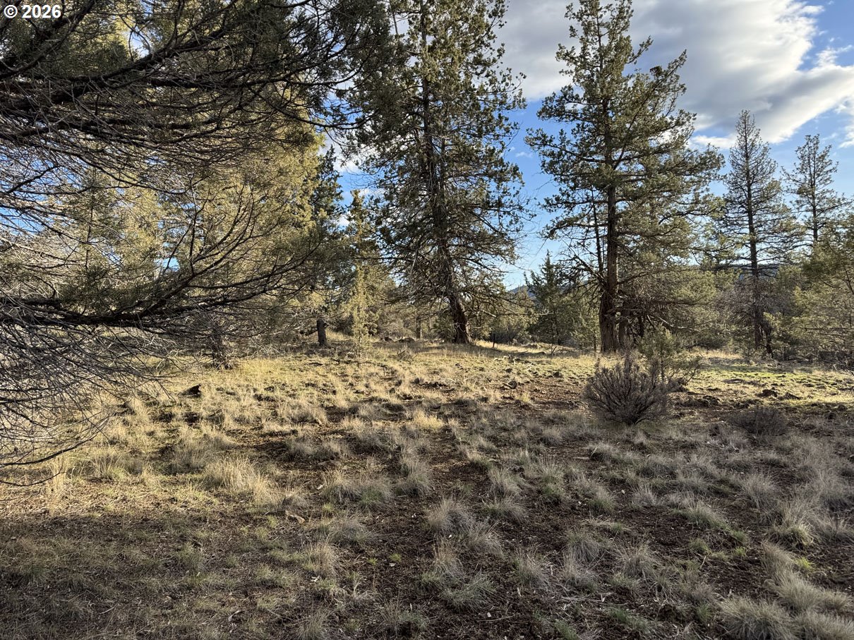 Canvasback Drive, Unit 35 Bonanza, OR 97623 - Photo 10 of 48