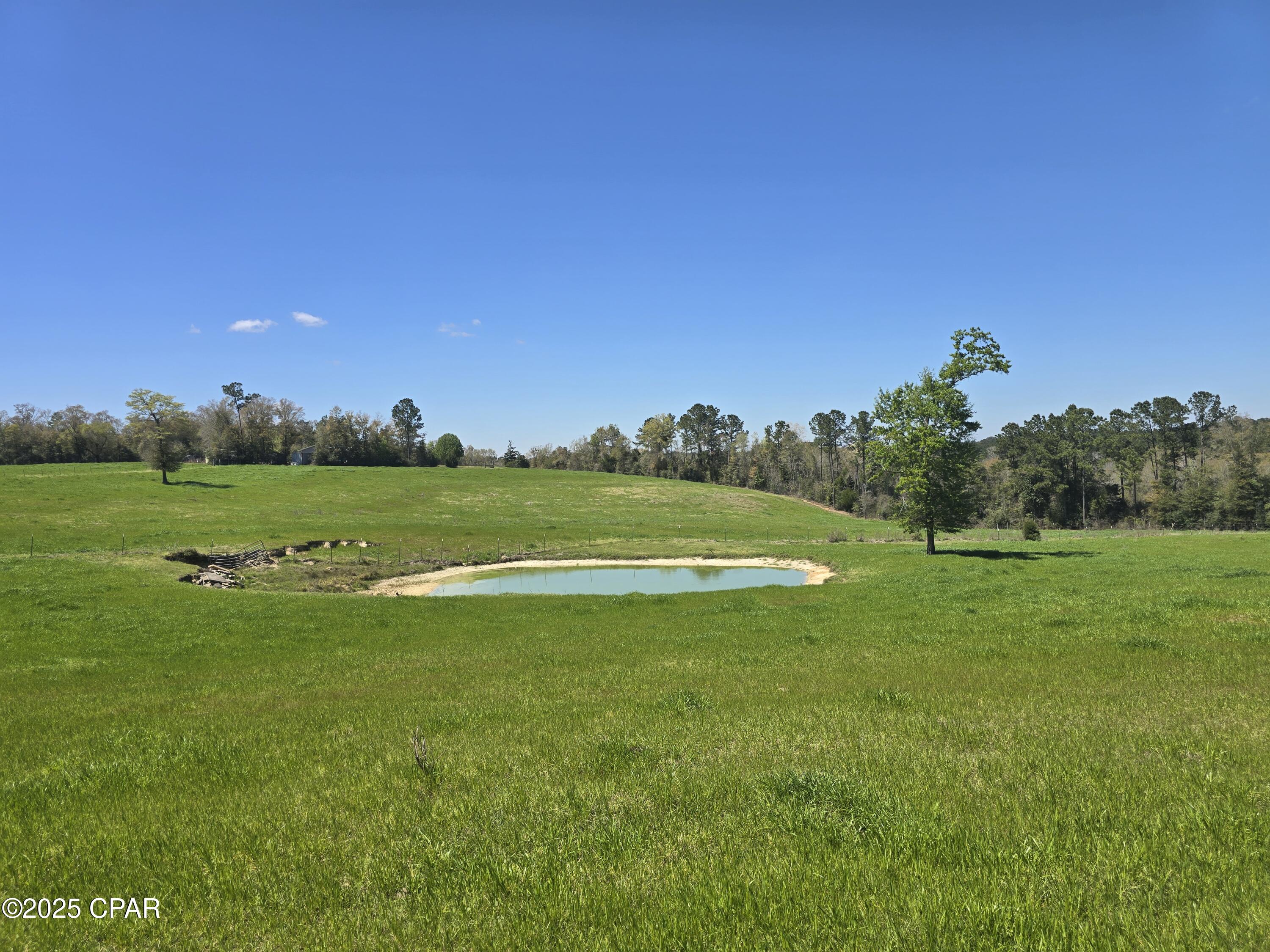 0 Posey Acres Road Chipley, FL 32428 - Photo 34 of 47
