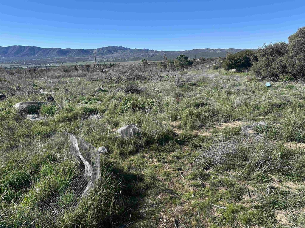0 Rincon-Ridge Road Anza, CA 92539 - Photo 5 of 6 a view of a forest with trees in the background