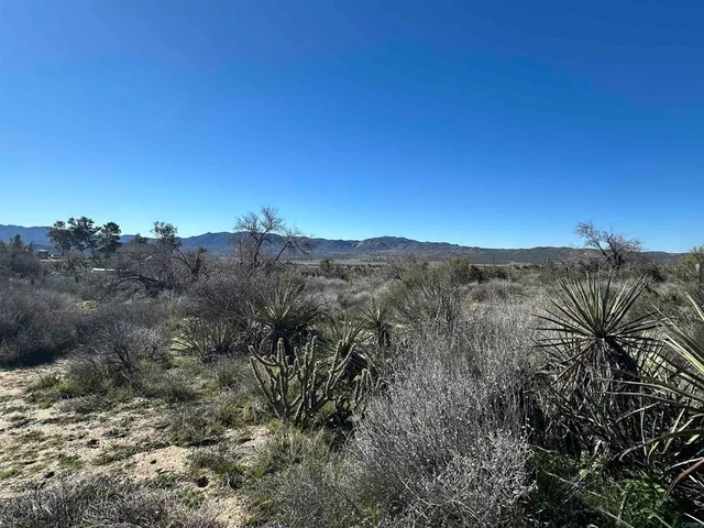a view of a dry yard with mountains in the background