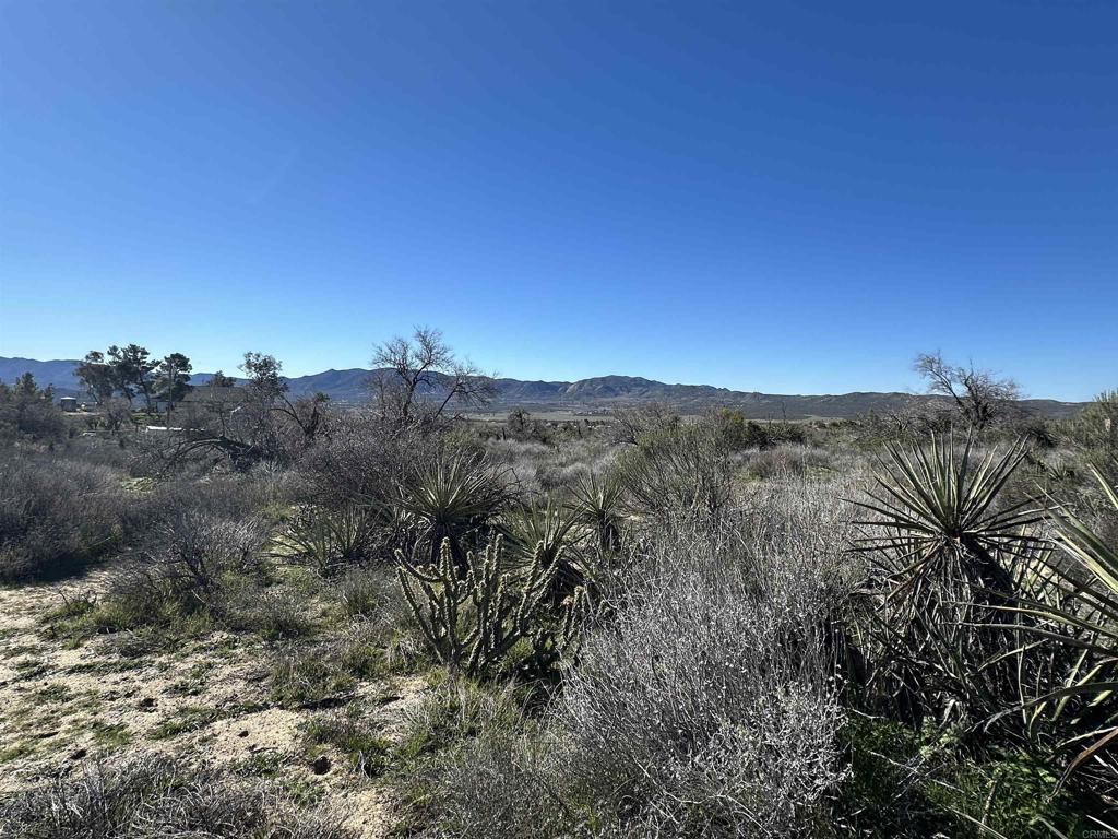 0 Rincon-Ridge Road Anza, CA 92539 - Photo 6 of 6 a view of a dry yard with mountains in the background