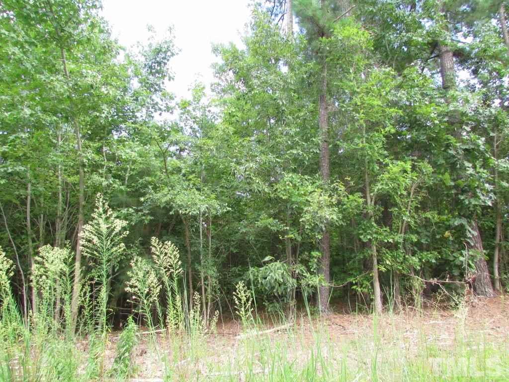 0 Fontaine Roxboro, NC 27574 - Photo 3 of 6