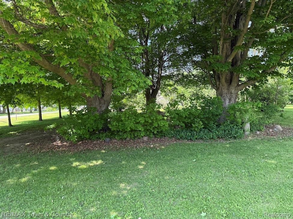 4372 North Gale Road Davison, MI 48423 - Photo 34 of 46 Mature trees with verdant foliage, lush green lawn, and established shrubbery
